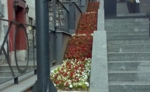 Stepenište u Pruščakovoj ulici u cvjetnom ruhu